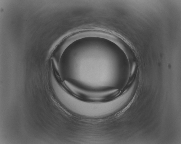 X0000082971502200702011345