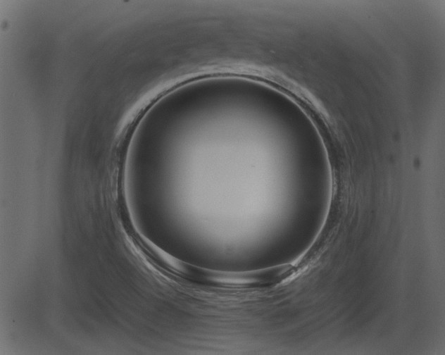 X0000082971504200702011345