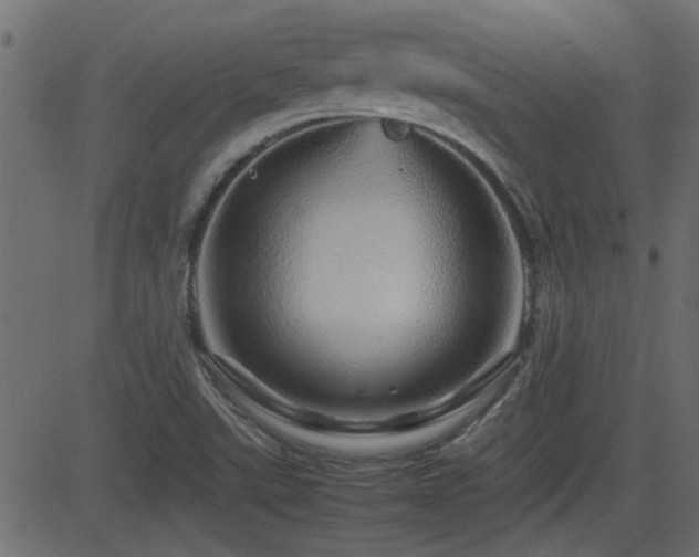 X0000082971507200702011345
