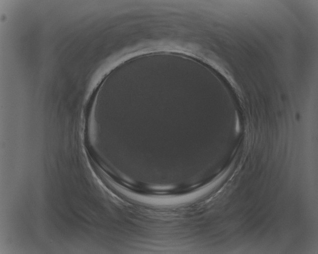 X0000082971508200702011345