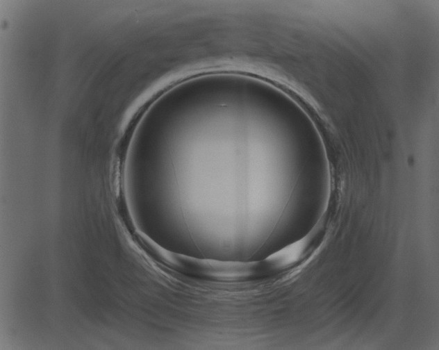 X0000082971510200702011345