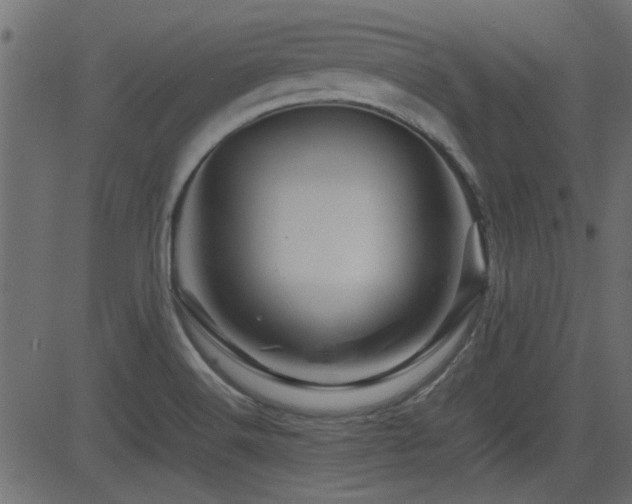 X0000082971516200702011345