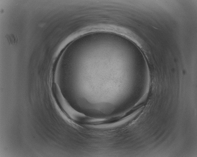 X0000082971523200702011345
