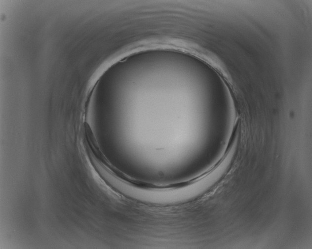 X0000082971524200702011345
