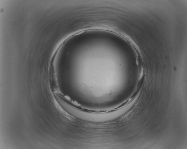 X0000082971532200702011345