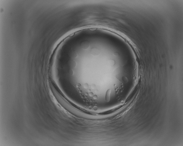 X0000082971534200702011345