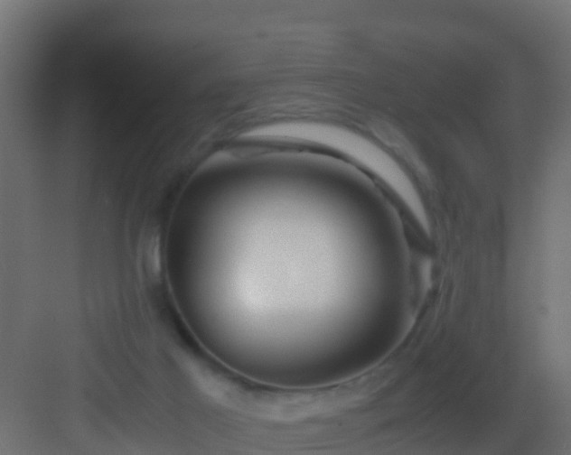 X0000082970021200702081753