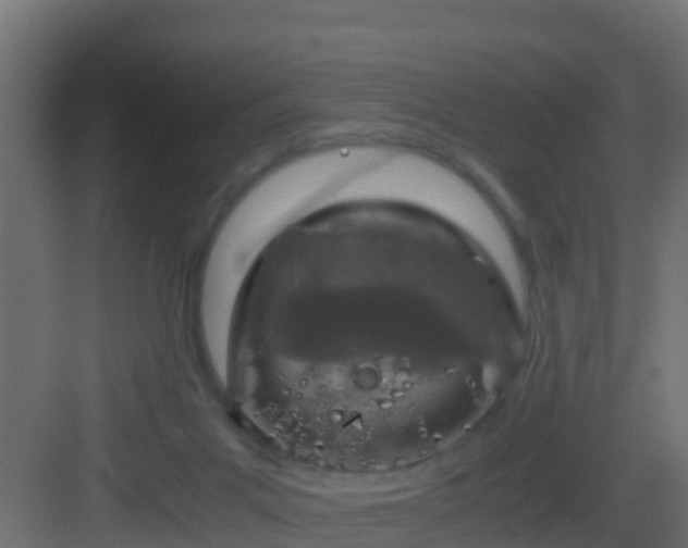 X0000082970023200702081753