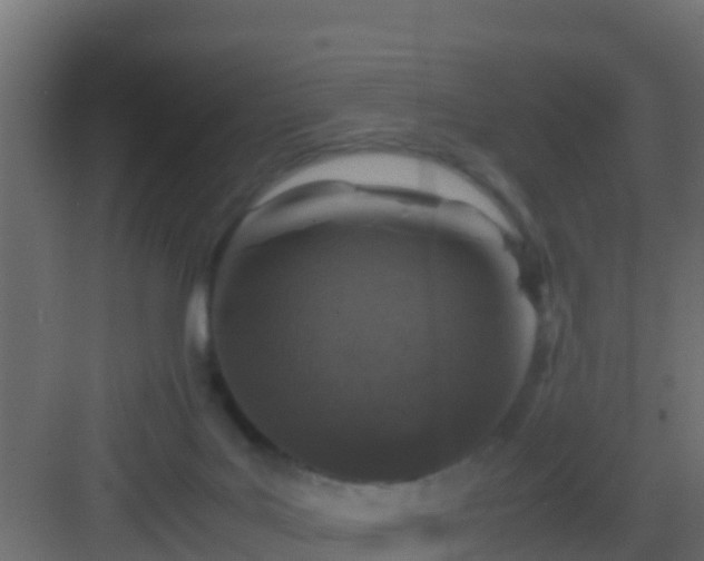 X0000082970027200702081753
