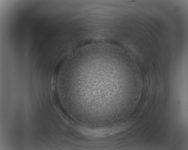 X0000082970038200702081753