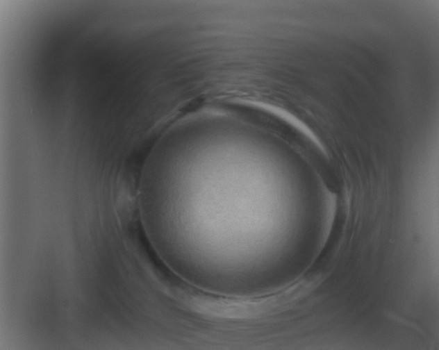 X0000082970040200702081753