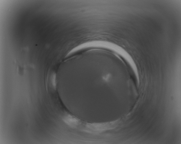 X0000082970041200702081753