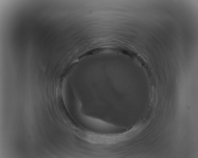 X0000082970048200702081753