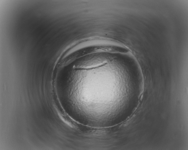 X0000082970050200702081752