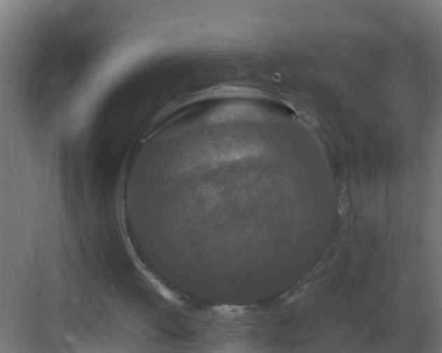X0000082970052200702081752