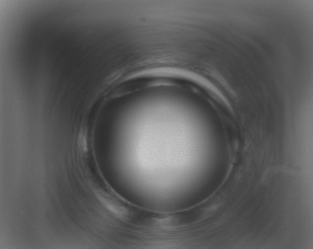 X0000082970068200702081752
