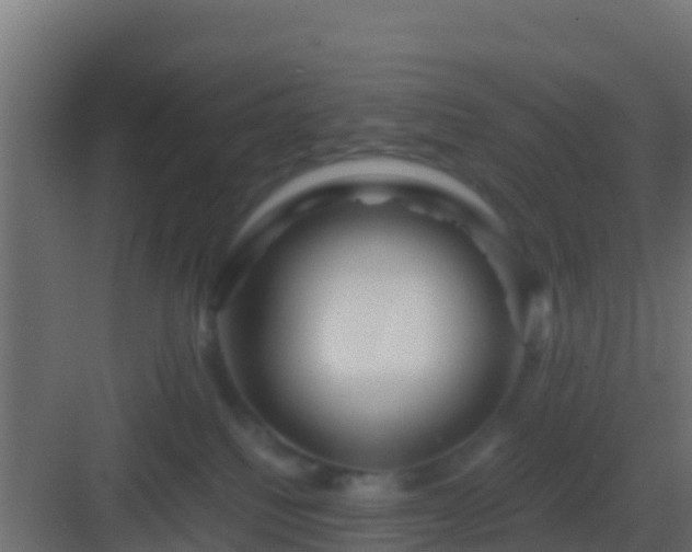 X0000082970088200702081753