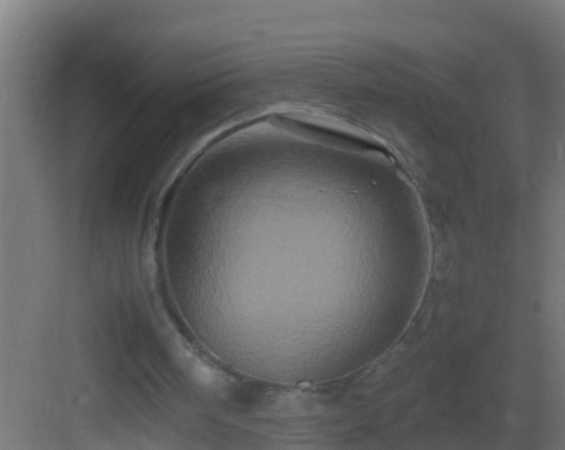 X0000082970098200702081752