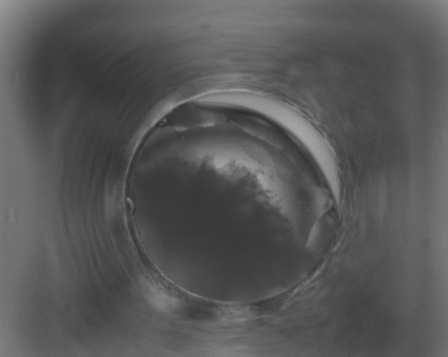 X0000082970099200702081752