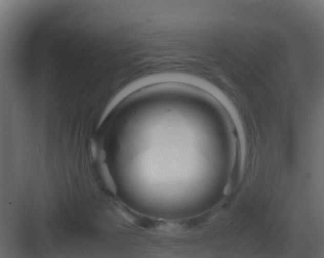 X0000082970125200702081752