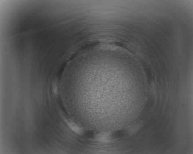 X0000082970138200702081751