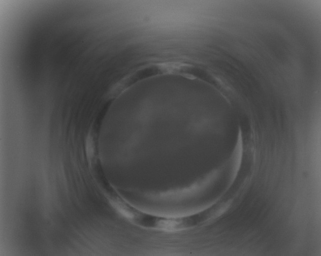 X0000082970139200702081751