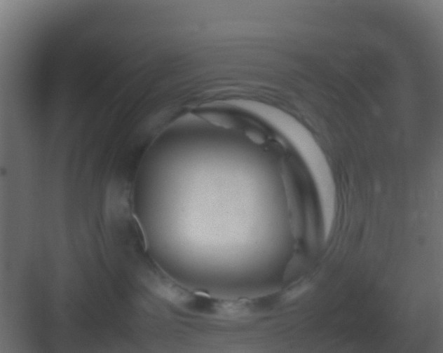 X0000082970141200702081751