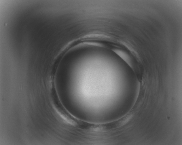 X0000082970160200702081751