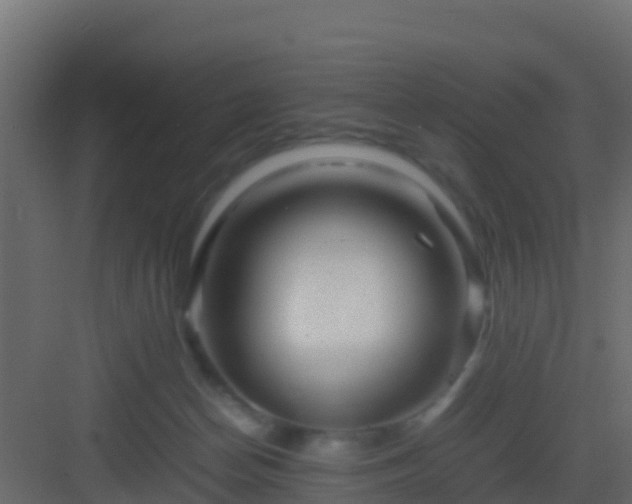 X0000082970174200702081751