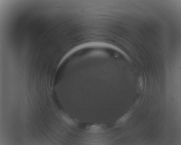 X0000082970180200702081751
