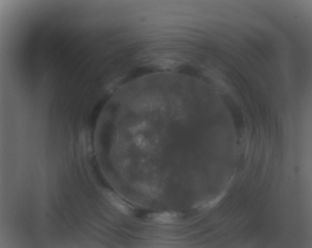 X0000082970182200702081751