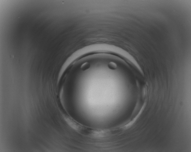 X0000082970190200702081751