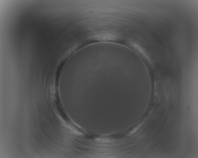 X0000082970202200702081750