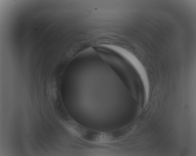 X0000082970223200702081750