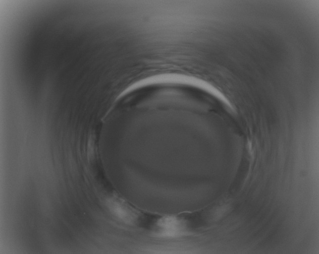 X0000082970231200702081750