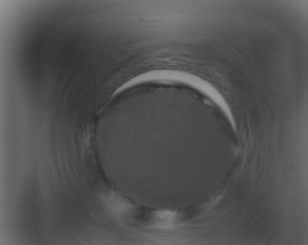 X0000082970233200702081750