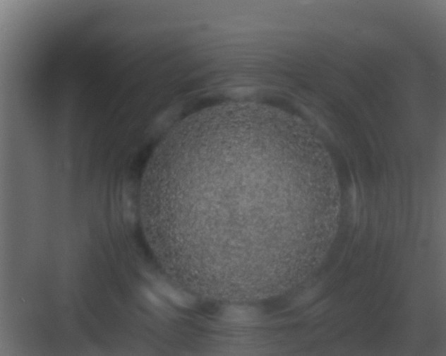 X0000082970234200702081750