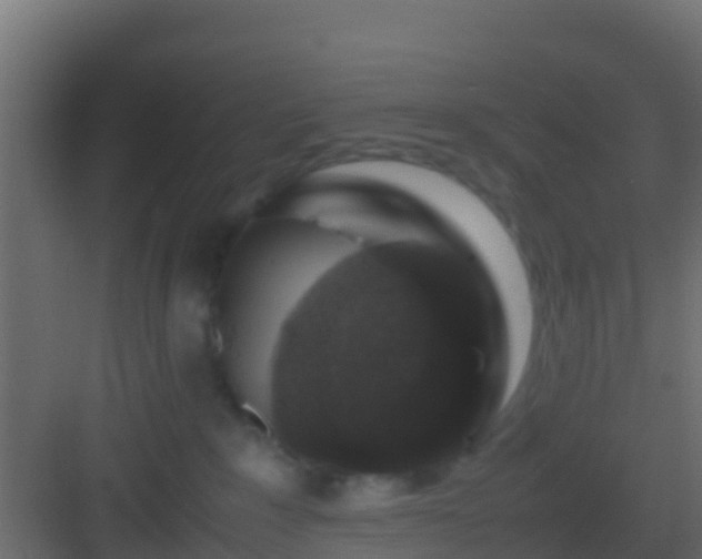 X0000082970235200702081750