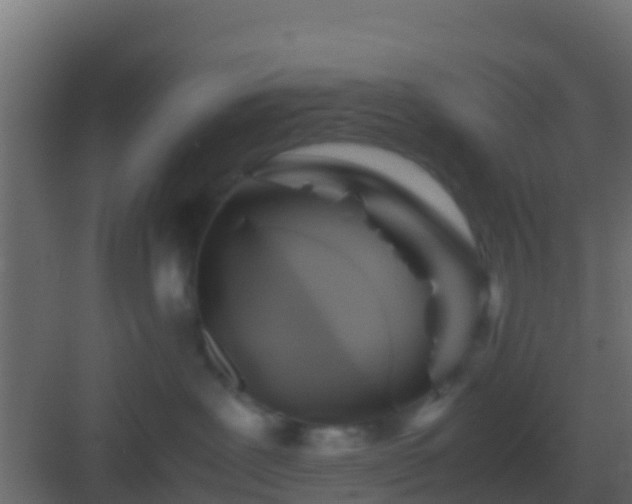 X0000082970239200702081750