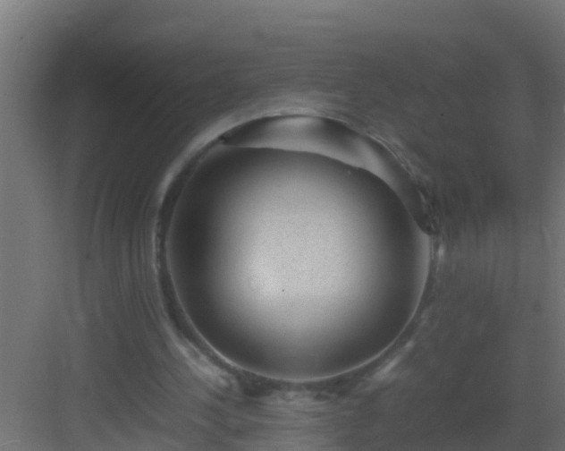X0000082970244200702081749