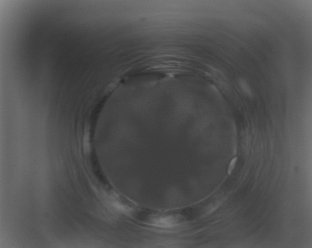 X0000082970267200702081749