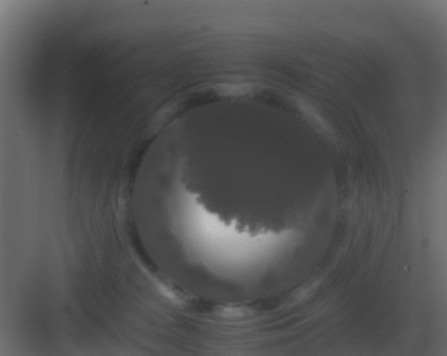 X0000082970277200702081749