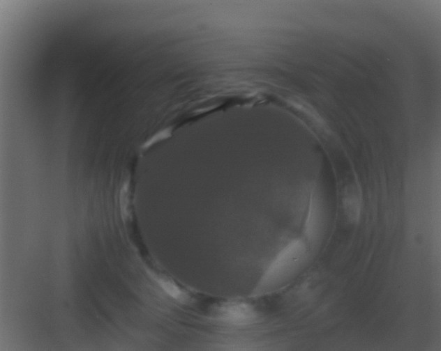 X0000082970322200702081748