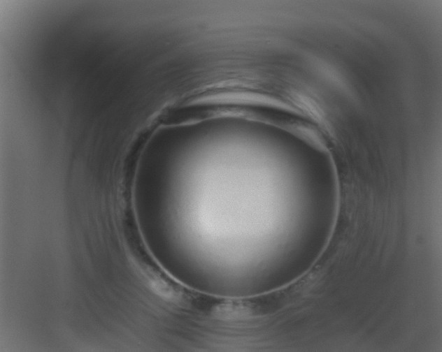 X0000082970354200702081748