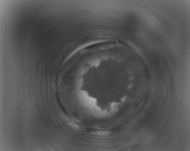 X0000082970361200702081748