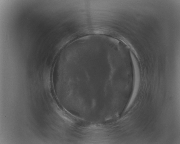 X0000082970386200702081747