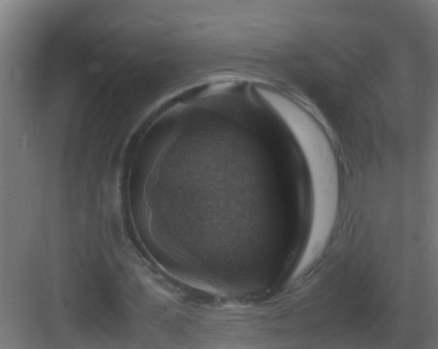 X0000082970387200702081747