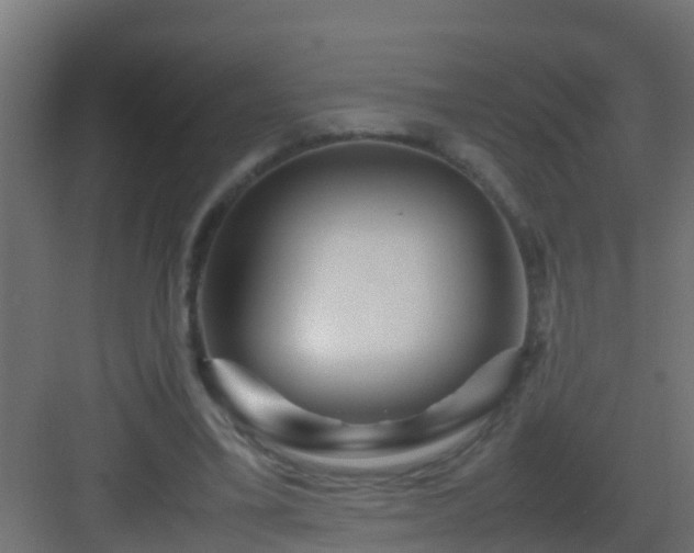 X0000082970395200702081747