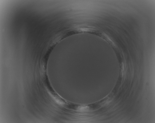 X0000082970410200702081747