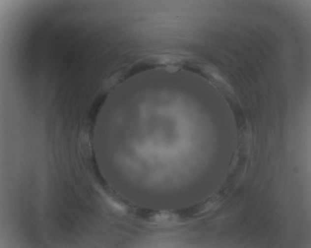 X0000082970415200702081747